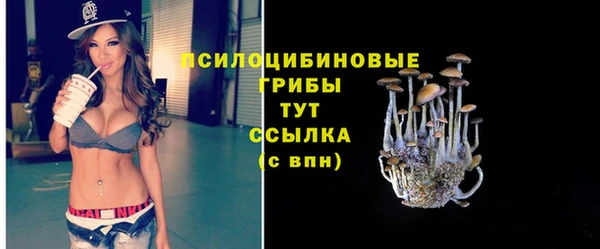 мяу мяу мука Арсеньев