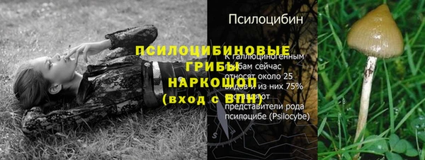 мяу мяу мука Арсеньев