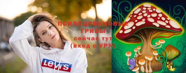 мяу мяу мука Арсеньев