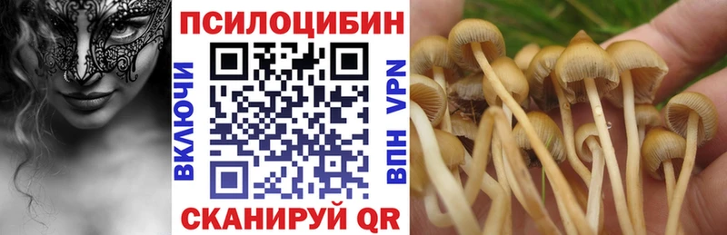 shop официальный сайт  гидра ссылки  Волгоград  Псилоцибиновые грибы Psilocybine cubensis 